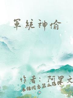 军统神偷