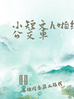 小短文h啪纯肉公交车