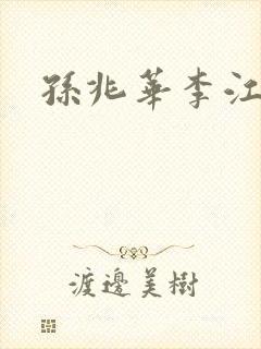 孙兆华李江小说