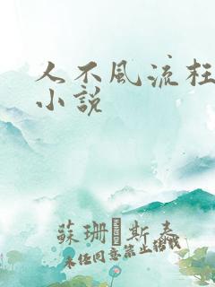 人不风流枉少年小说