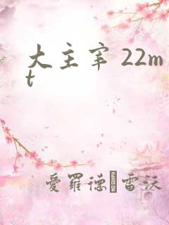 大主宰 22mt