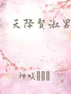 天降贤淑男小说