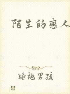 陌生的恋人小说