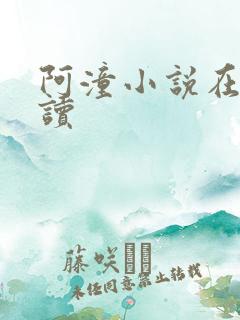 阿潼小说在线阅读
