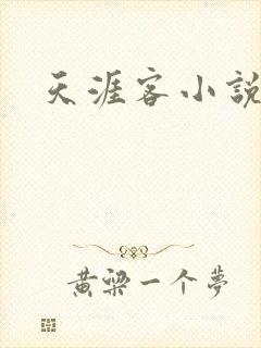 天涯客小说