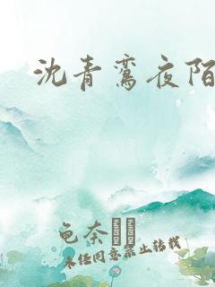 沈青鸾夜陌凌
