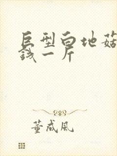 巨型白地菇多少钱一斤