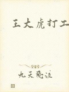 王大虎打工