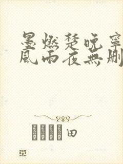 墨燃楚晚宁痴缠风雨夜无删减