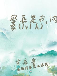 学长是我网恋对象(1v1 h)