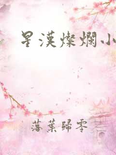 星汉灿烂小说