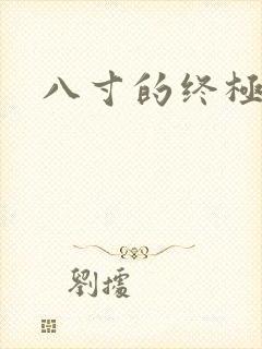 八寸的终极凶器