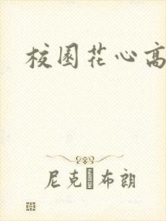 校园花心高手
