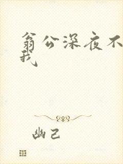 翁公深夜不停要我