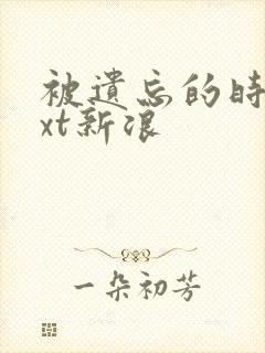 被遗忘的时光txt新浪