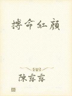 搏命红颜