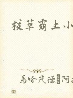 校草霸上小丫头