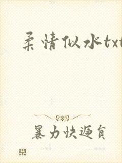 柔情似水txt