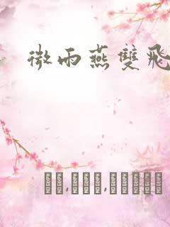 微雨燕双飞小说