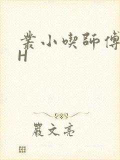 丛小吃师傅的HH