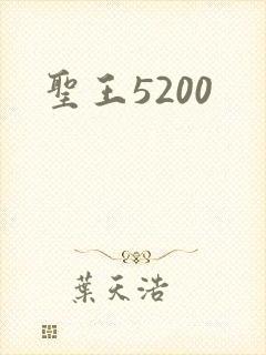 圣王5200
