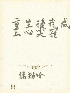 重生后我成了傻王心尖宠
