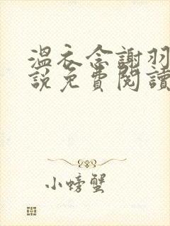 温衣念谢羽渊小说免费阅读