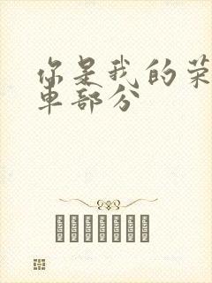 你是我的荣耀开车部分