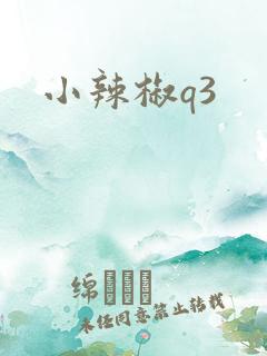 小辣椒q3
