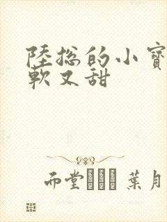 陆总的小宝贝又软又甜