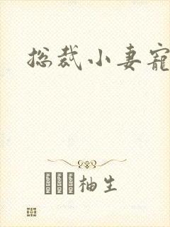 总裁小妻宠上天