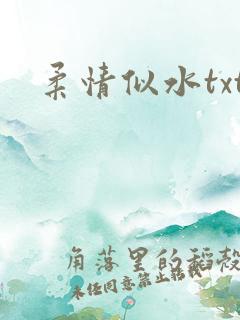 柔情似水txt