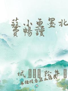 苏小鱼墨北枭免费畅读