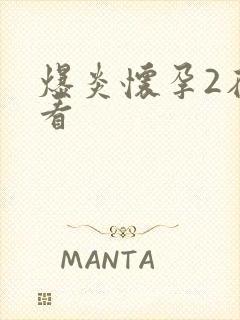 爆炎怀孕2在线看