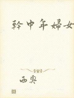 干中年妇女小说