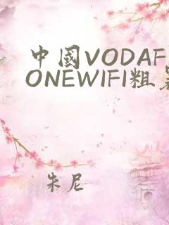 中国VODAFONEWIFI粗暴APP