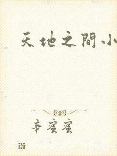 天地之间小说