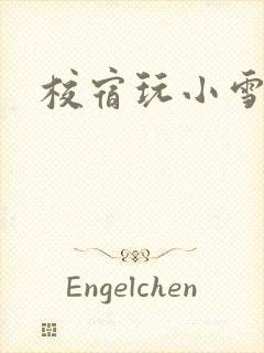 校宿玩小雪