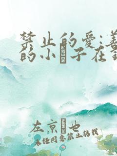 禁止的爱:善良的小峓子在钱姜