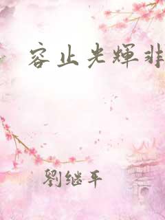 容止光辉非世人