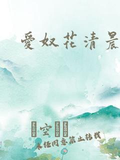 爱奴花清晨