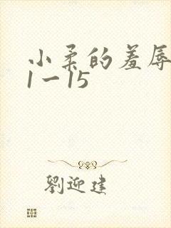 小柔的羞辱日记1一15