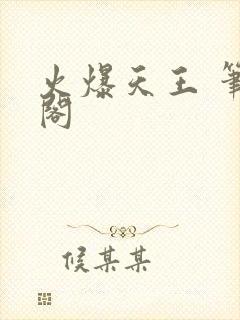 火爆天王 笔趣阁