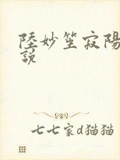 陆妙笙寂阳朔小说