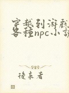 穿越到游戏里和各种npc小说