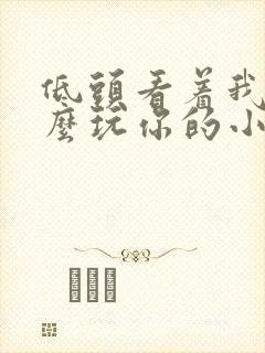 低头看着我是怎么玩你的小说