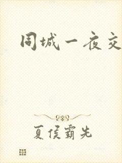 同城一夜交友