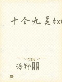 十全九美txt