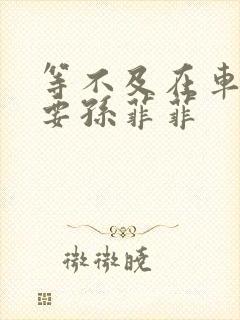 等不及在车里就要孙菲菲