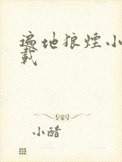 遍地狼烟小说下载